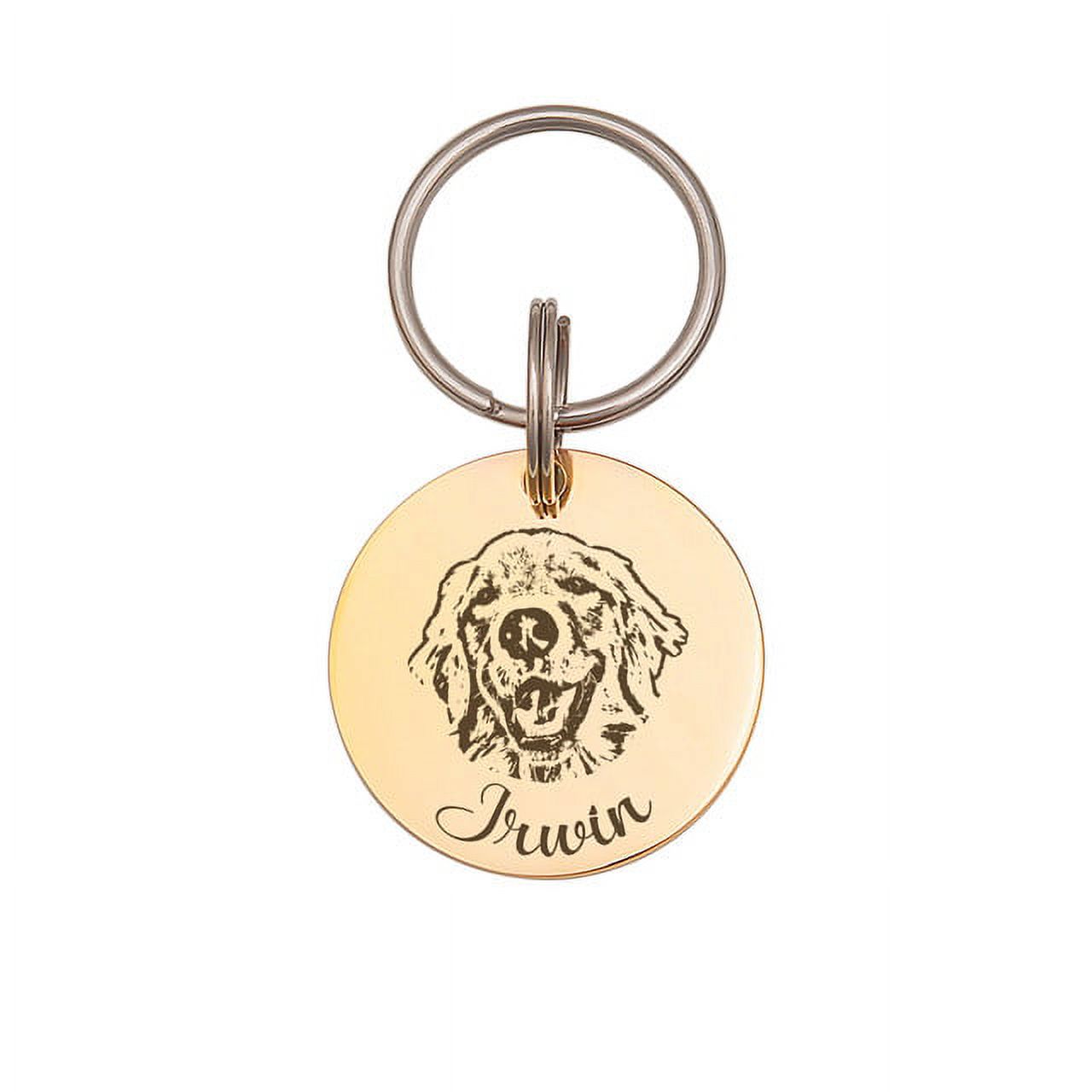 Anavia Metal Stainless Steel Round Name - Dog Picture Birthday Holiday Christmas Engraved Dog Cat ID Tag, Gold