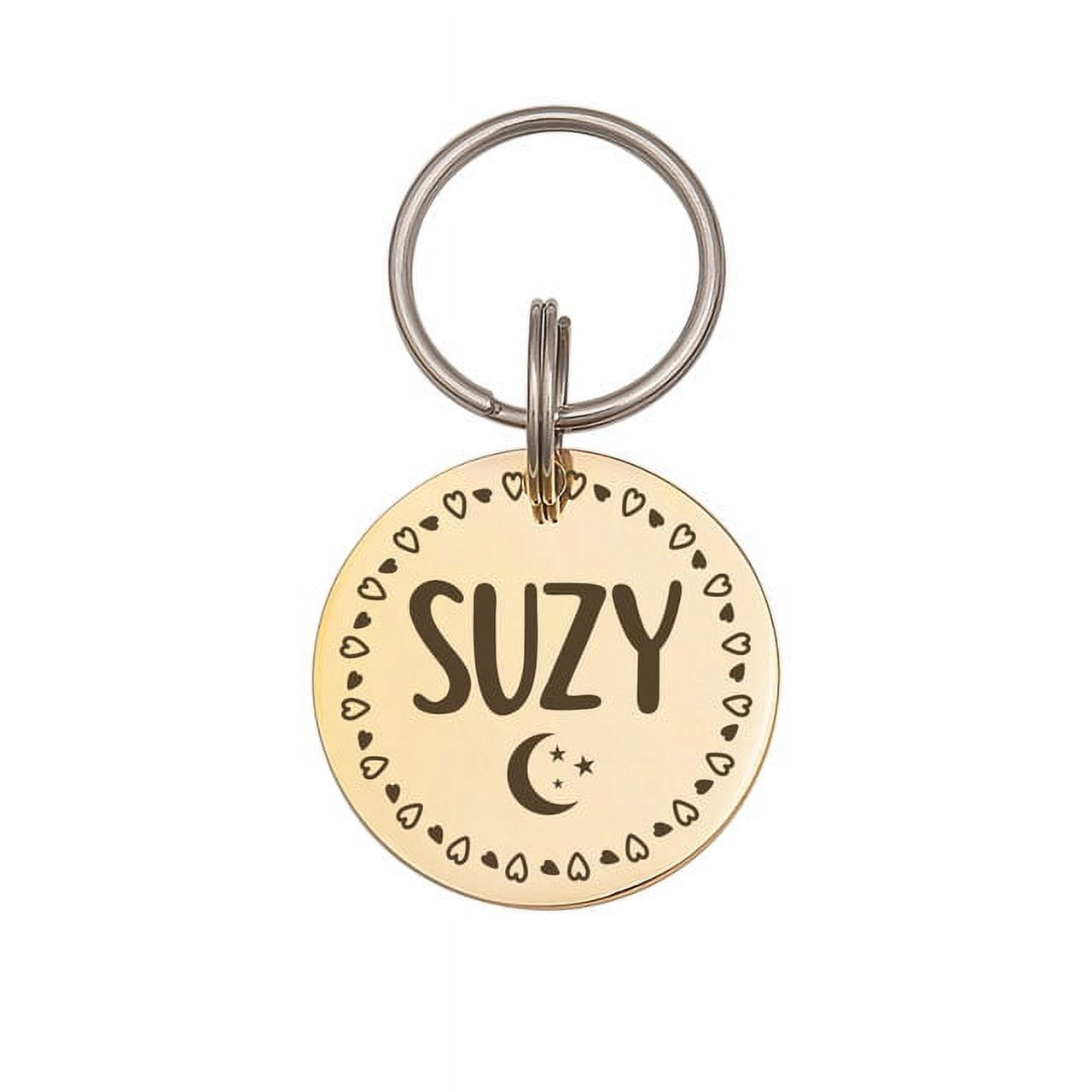 Anavia Metal Stainless Steel Round Name - Icon - Boarder Birthday Holiday Christmas Engraved Dog Cat ID Tag, Gold