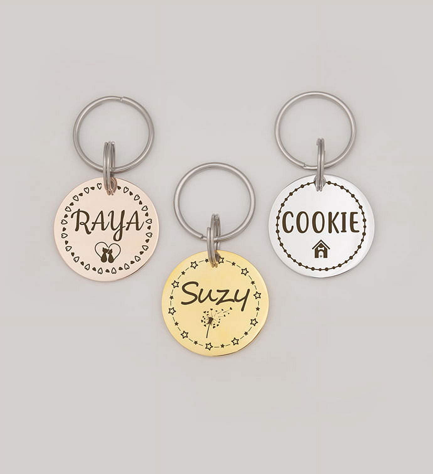Anavia Metal Stainless Steel Round Name - Icon - Boarder Birthday Holiday Christmas Engraved Dog Cat ID Tag, Silver
