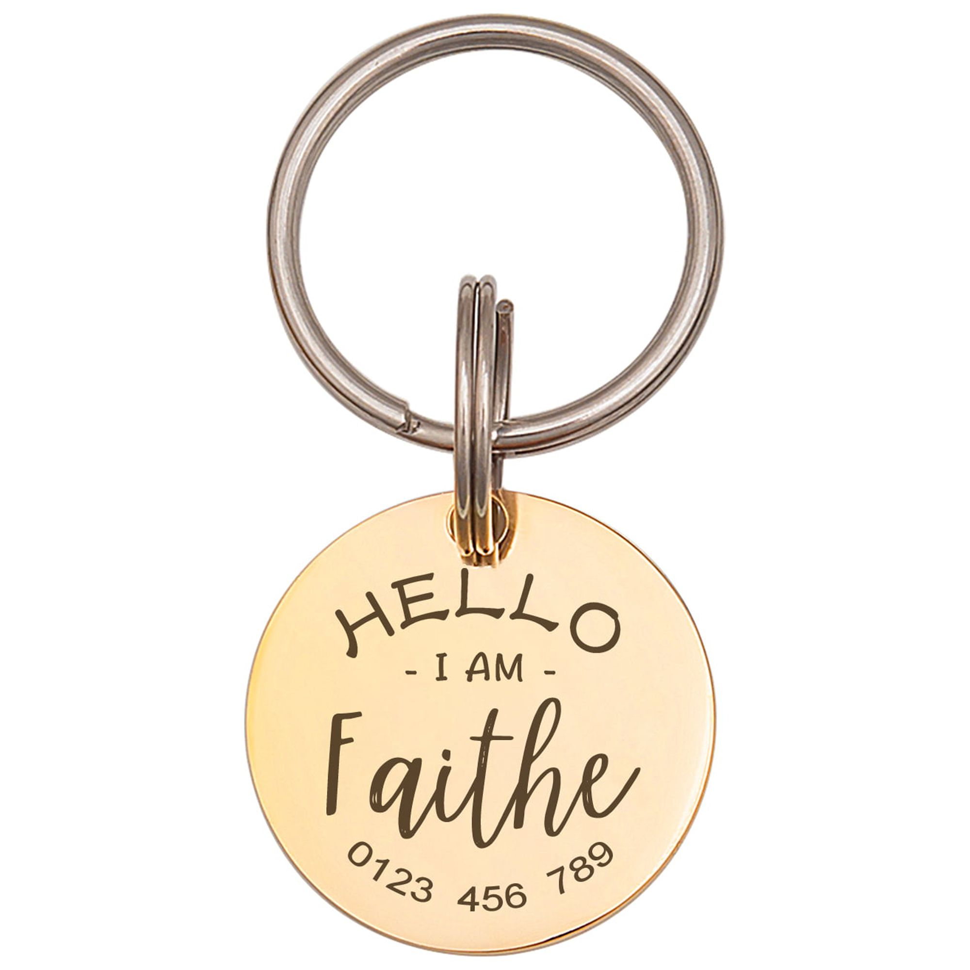 Anavia Metal Stainless Steel Round Name - Phone Number Birthday Holiday Christmas Engraved Dog Cat ID Tag, Gold