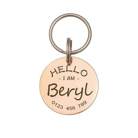 Anavia Metal Stainless Steel Round Name - Phone Number Birthday Holiday Christmas Engraved Dog Cat ID Tag, Rose Gold