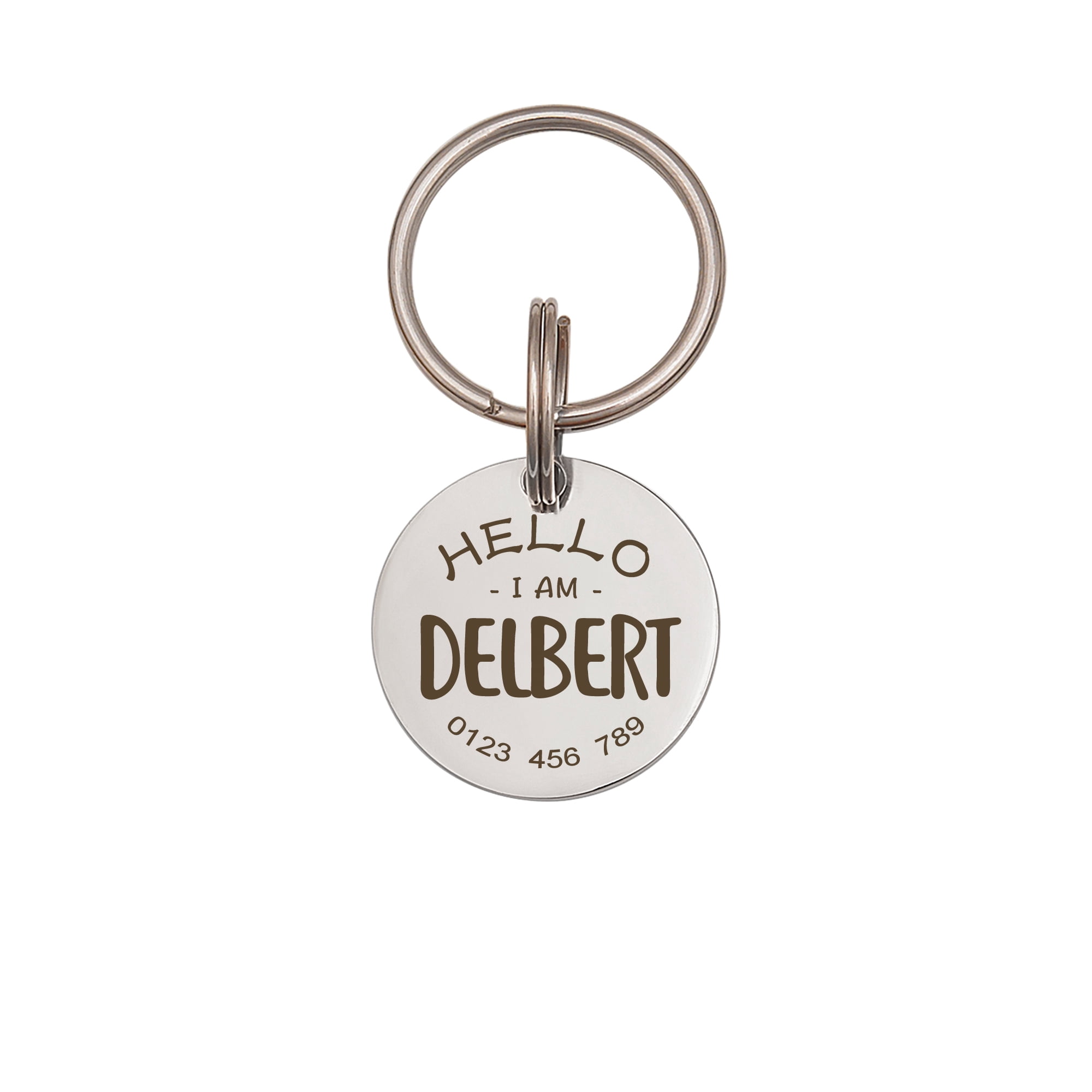 Anavia Metal Stainless Steel Round Name - Phone Number Birthday Holiday Christmas Engraved Dog Cat ID Tag, Silver