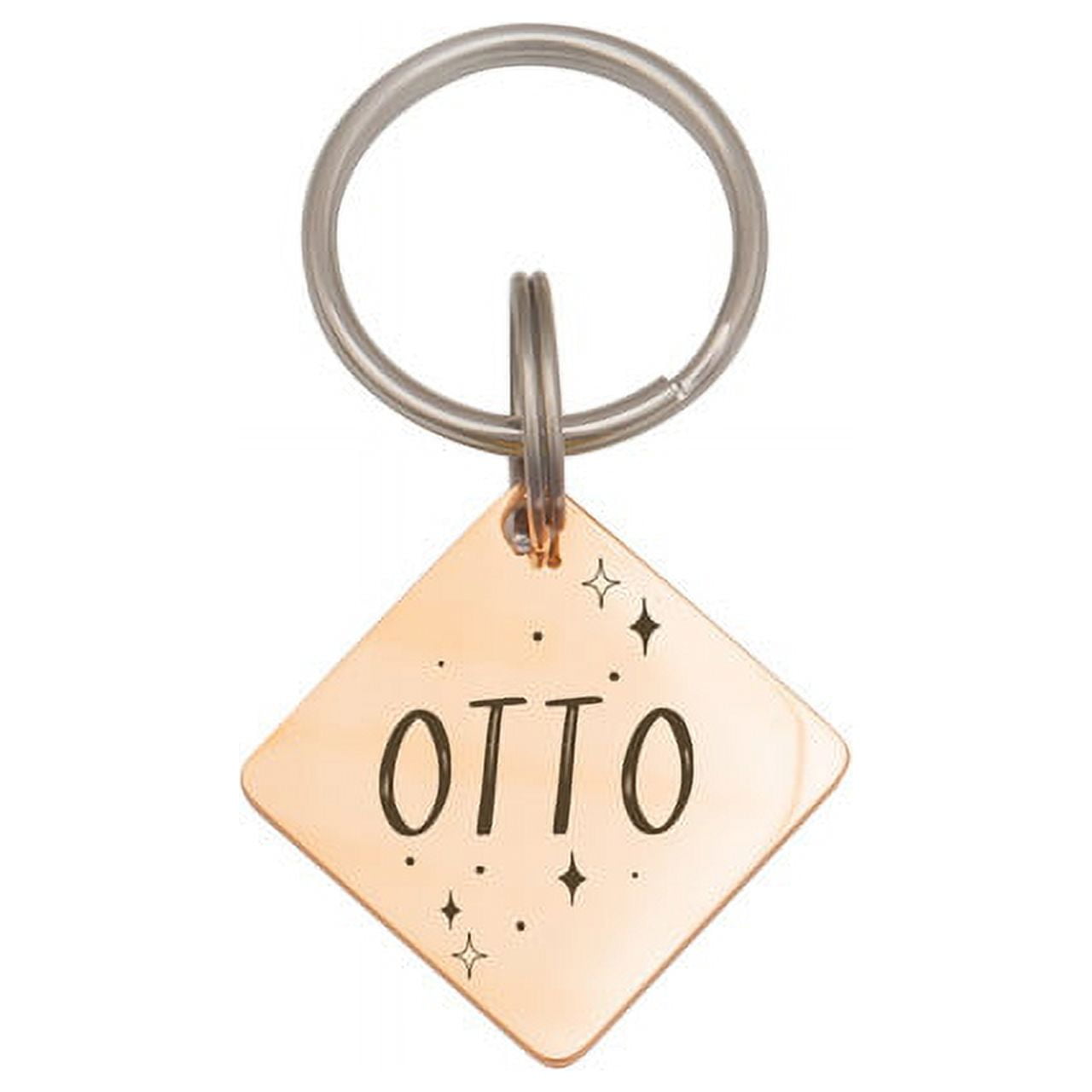 Anavia Stainless Steel Double Sided Diamond Name - Frame Engraved Dog & Cat ID Tag, Rose Gold, L