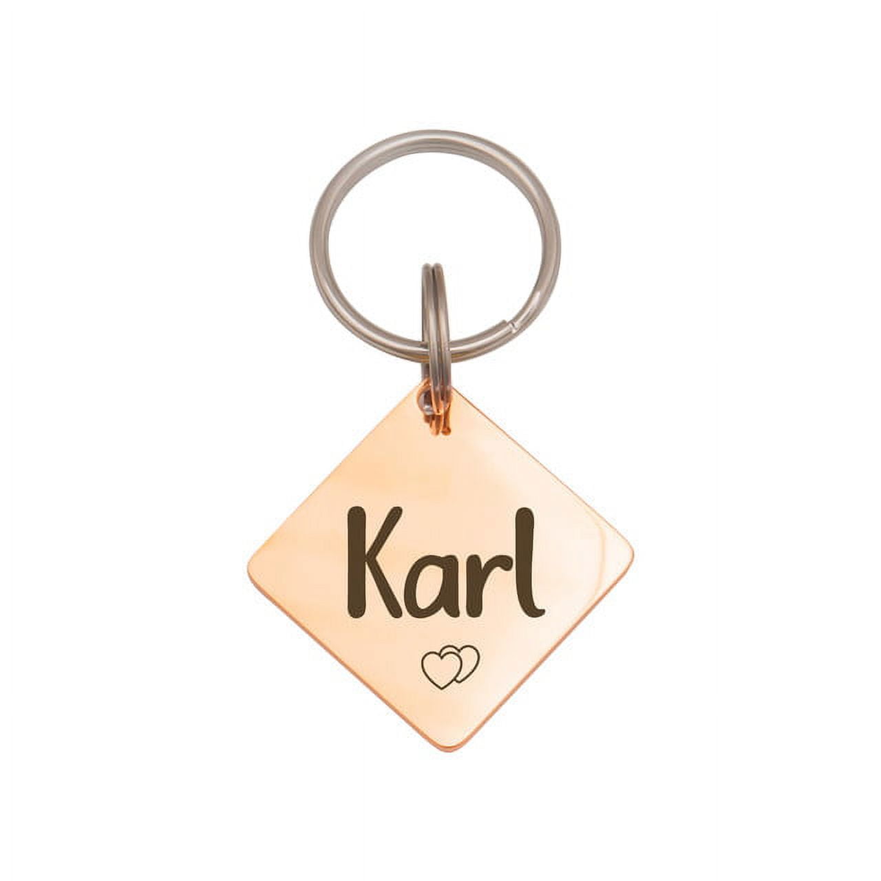 Anavia Stainless Steel Double Sided Diamond Name & Icon Engraved Dog & Cat ID Tag, Rose Gold, L