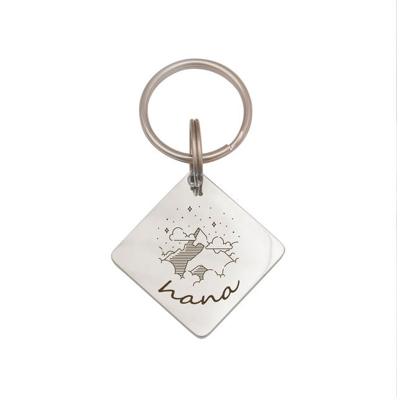 Anavia Stainless Steel Double Sided Diamond Name - Large Picture Engraved Dog & Cat ID Tag, Silver, L