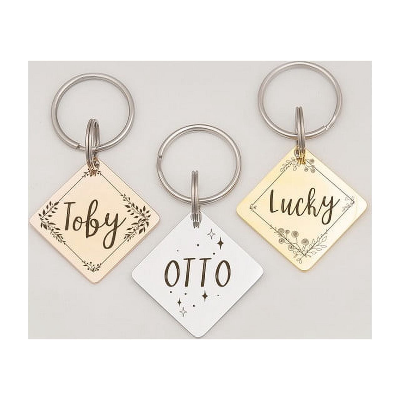 Anavia Stainless Steel Double Sided Diamond Name and Frame Engraved Dog & Cat ID Tag, Multi-color, L