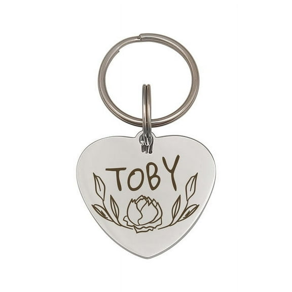 Anavia Stainless Steel Double Sided Heart Name - Frame Engraved Dog & Cat ID Tag, Silver, M