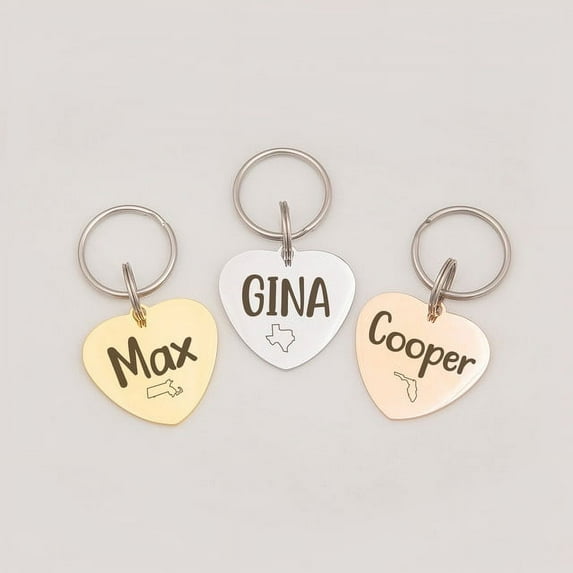 Anavia Stainless Steel Double Sided Heart Name and State Icon Engraved Dog & Cat ID Tag, Multi-color, L