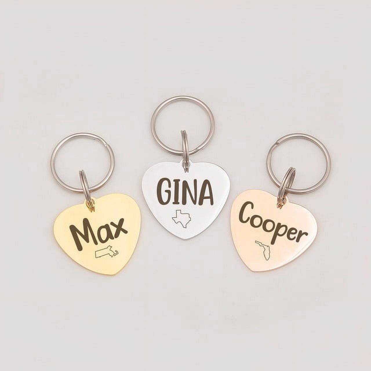 Anavia Stainless Steel Double Sided Heart Name and State Icon Engraved Dog & Cat ID Tag, Multi-color, M