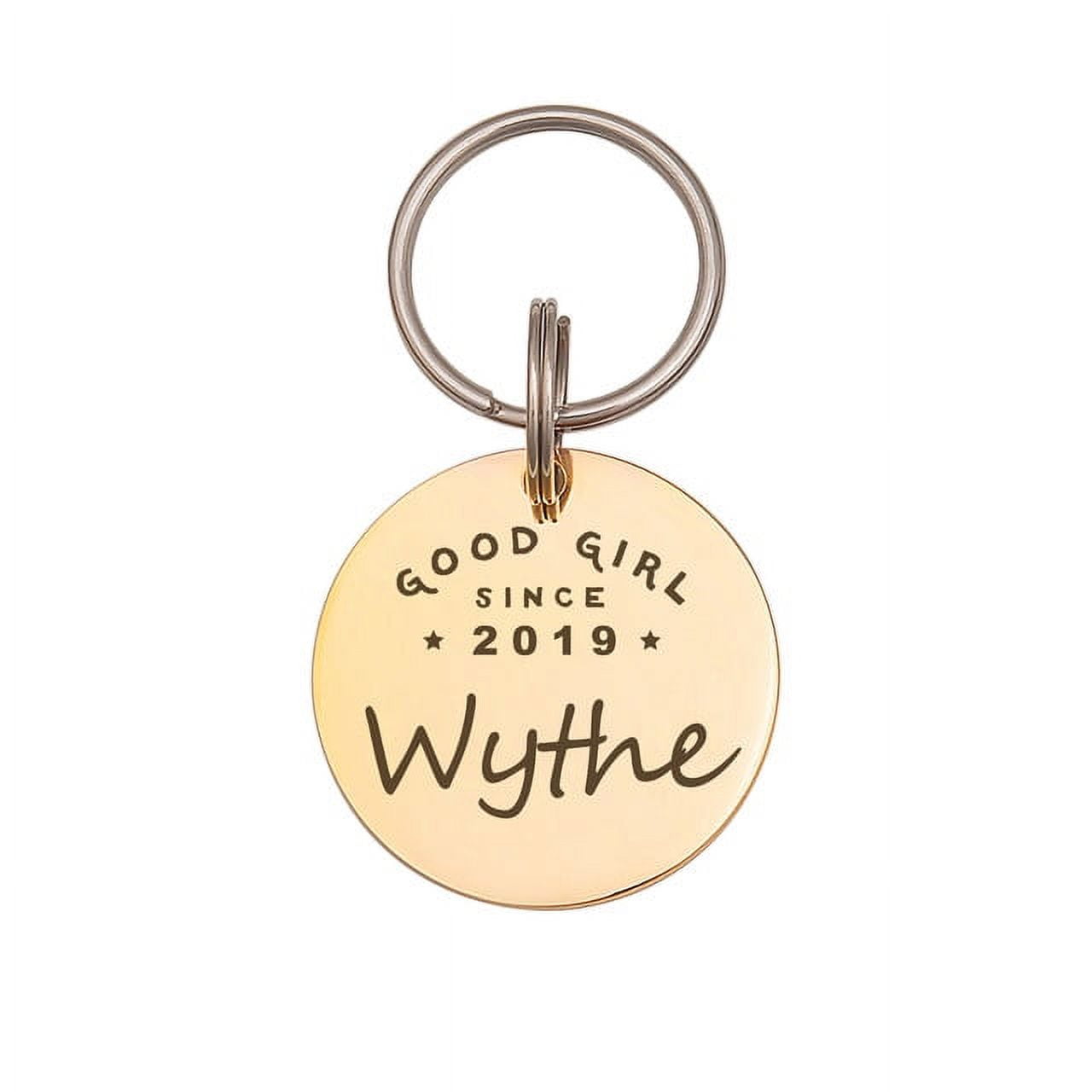 Anavia Stainless Steel Double Sided Round Name - Birth Year & Good Girl Boy Engraved Dog & Cat ID Tag, Gold, L