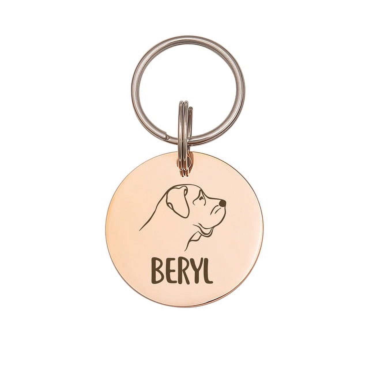 Anavia Stainless Steel Double Sided Round Name - Dog Portrait Picture Engraved Dog & Cat ID Tag, Rose Gold, M