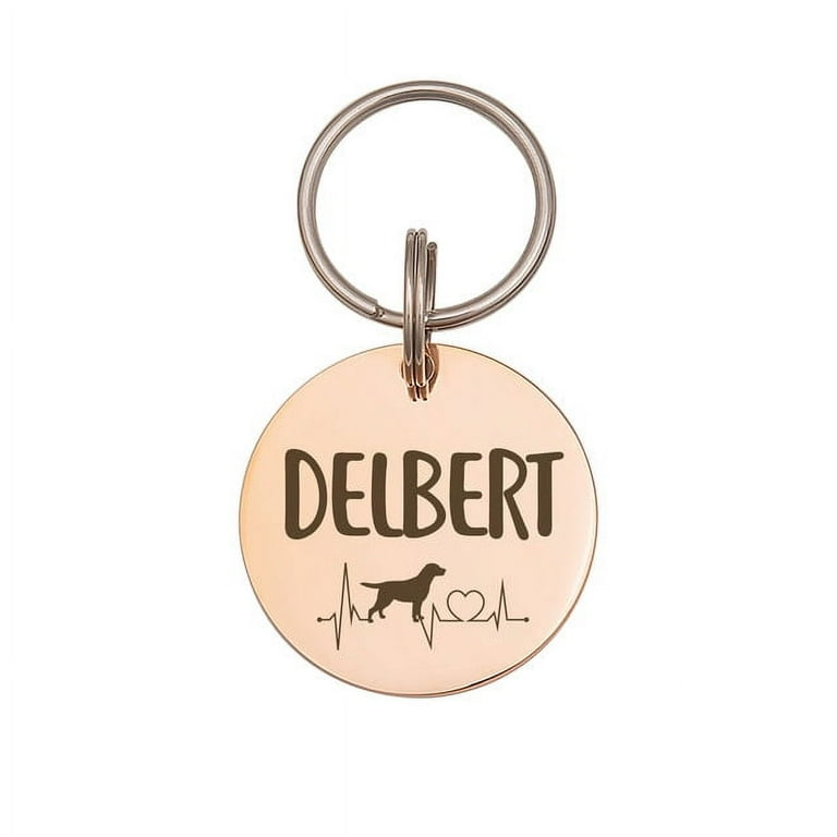 Stainless Steel Circle Pet Tag Engraved & Ring Dog Cat Name