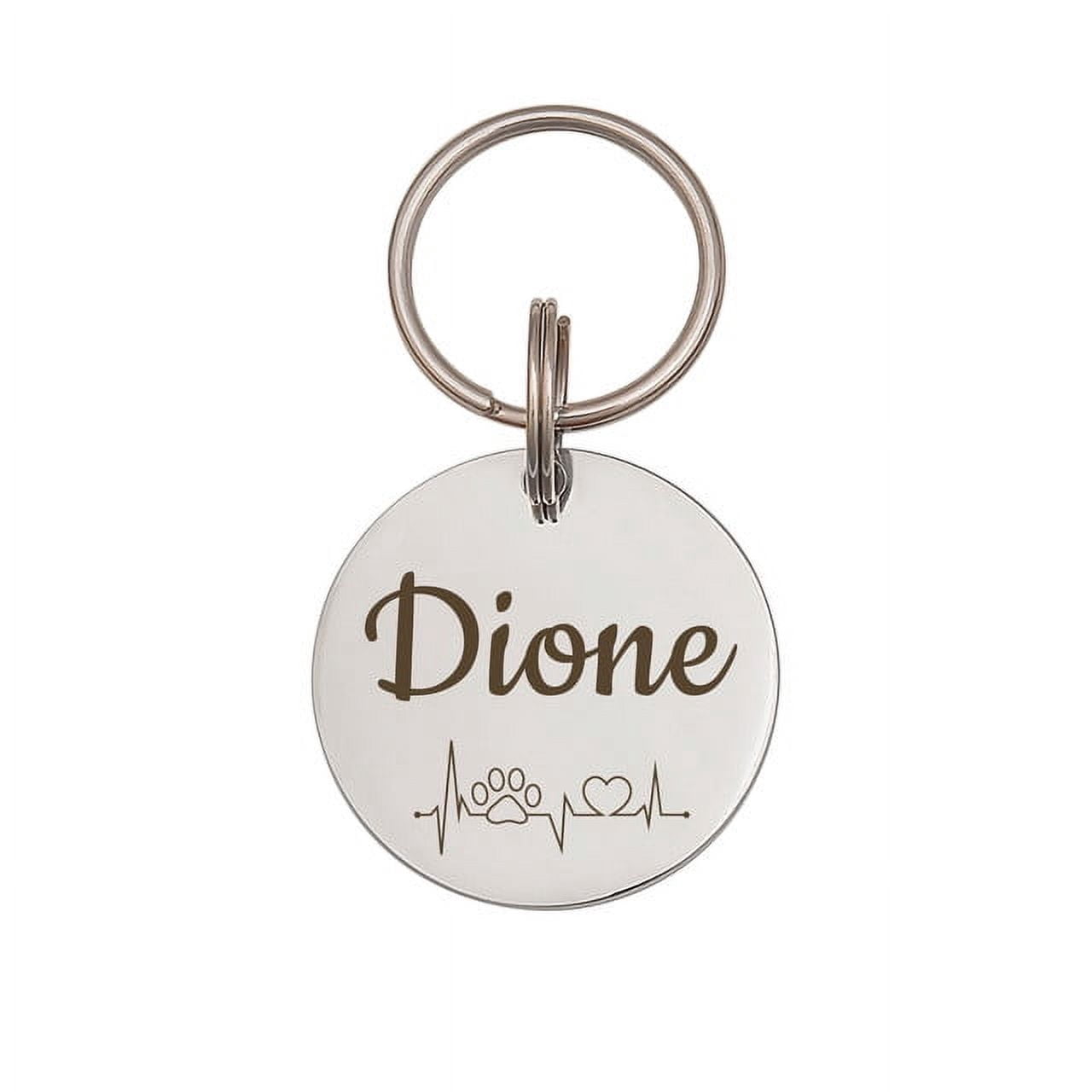 Anavia Stainless Steel Double Sided Round Name - ECG Engraved Dog & Cat ID Tag, Silver, L