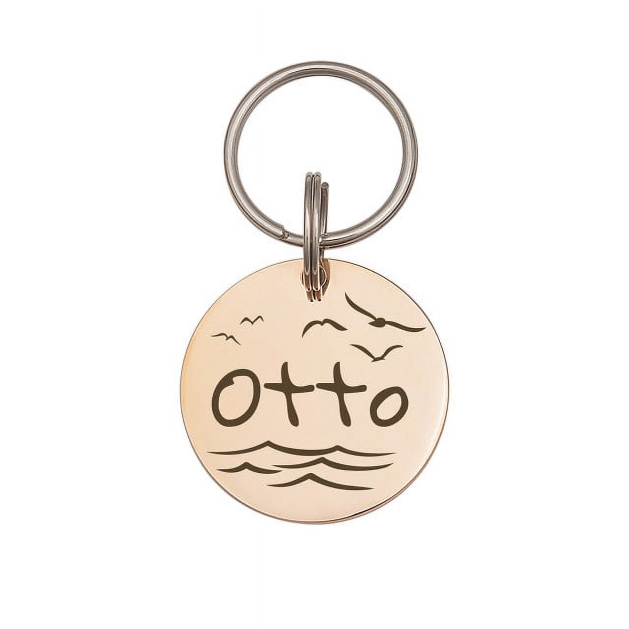 Anavia Stainless Steel Double Sided Round Name - Frame Engraved Dog & Cat ID Tag, Rose Gold, M