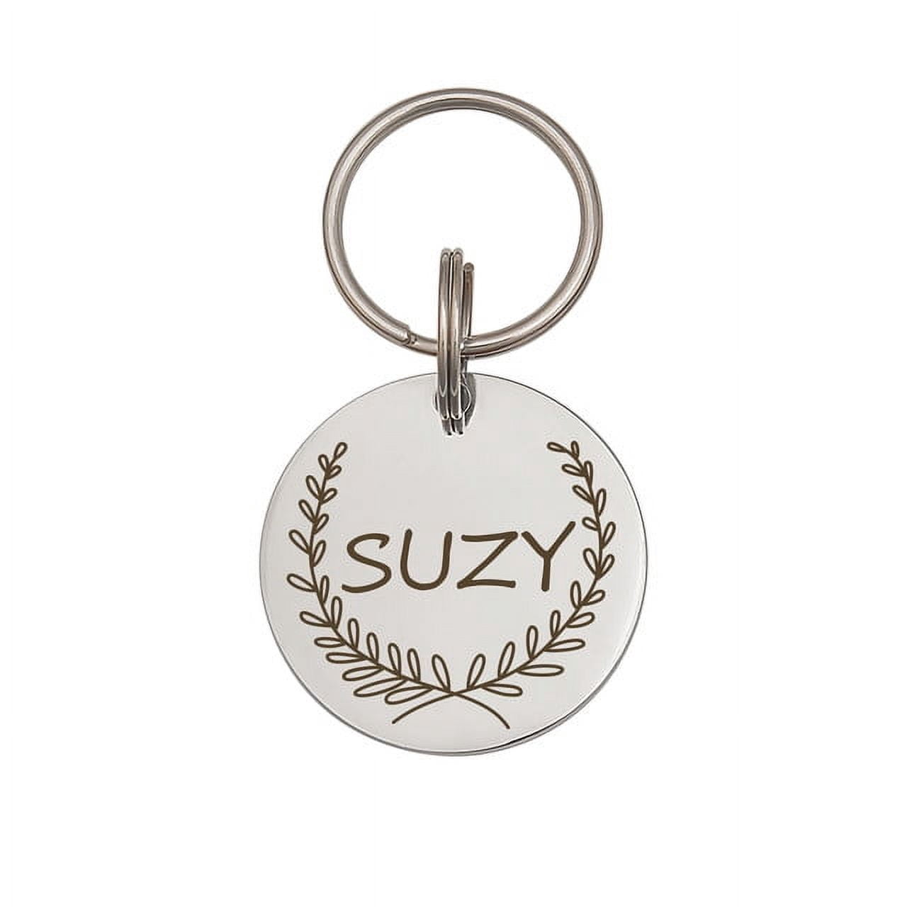 Anavia Stainless Steel Double Sided Round Name - Frame Engraved Dog & Cat ID Tag, Silver, L