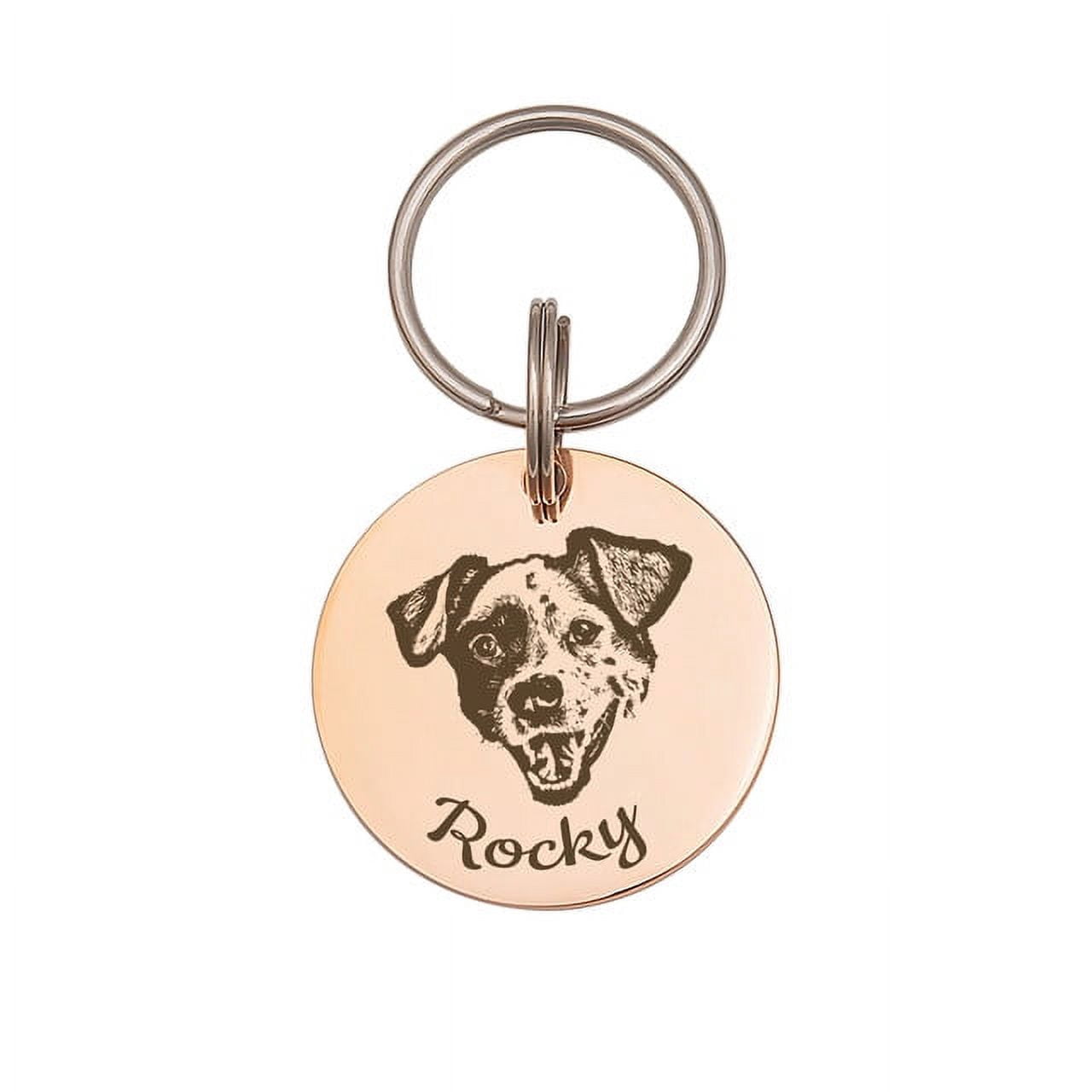 Anavia Stainless Steel Double Sided Round Name - Pet Portrait Photo Engraved Dog & Cat ID Tag, Rose Gold, S