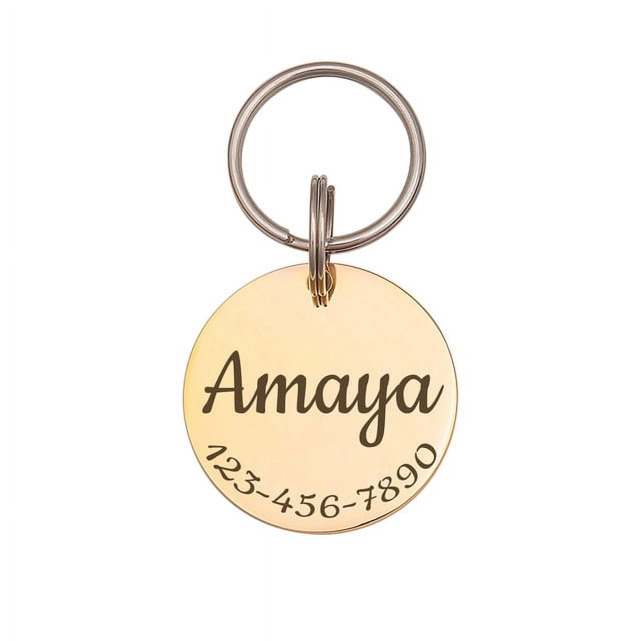 Anavia Stainless Steel Double Sided Round Name - Phone Number Engraved Dog & Cat ID Tag, Gold, S