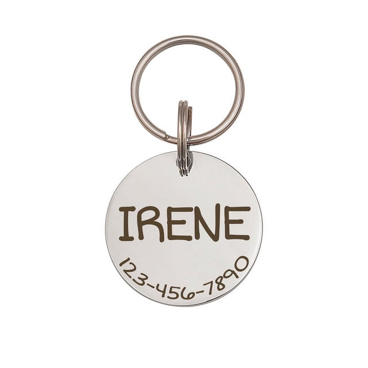 Anavia Stainless Steel Double Sided Round Name - Phone Number Engraved Dog & Cat ID Tag, Silver, L