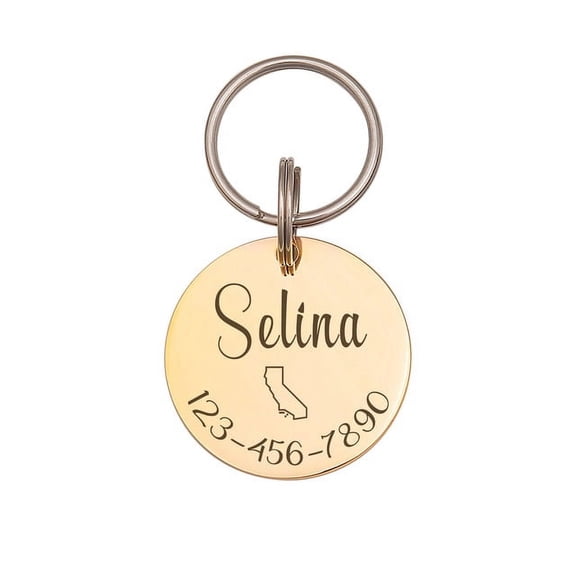 Anavia Stainless Steel Double Sided Round Name - State Icon - Phone Engraved Dog & Cat ID Tag, Gold, S