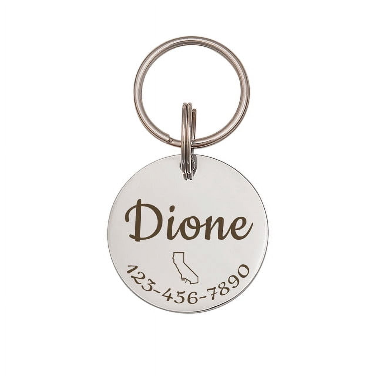 Anavia Stainless Steel Double Sided Round Name - State Icon - Phone Engraved Dog & Cat ID Tag, Silver, S
