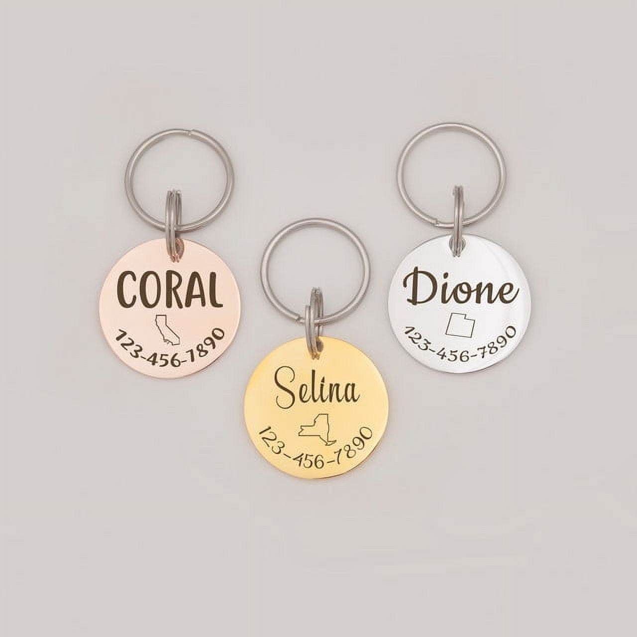 Anavia Stainless Steel Double Sided Round Name, State Icon and Phone Number Engraved Dog & Cat ID Tag, Multi-color, S