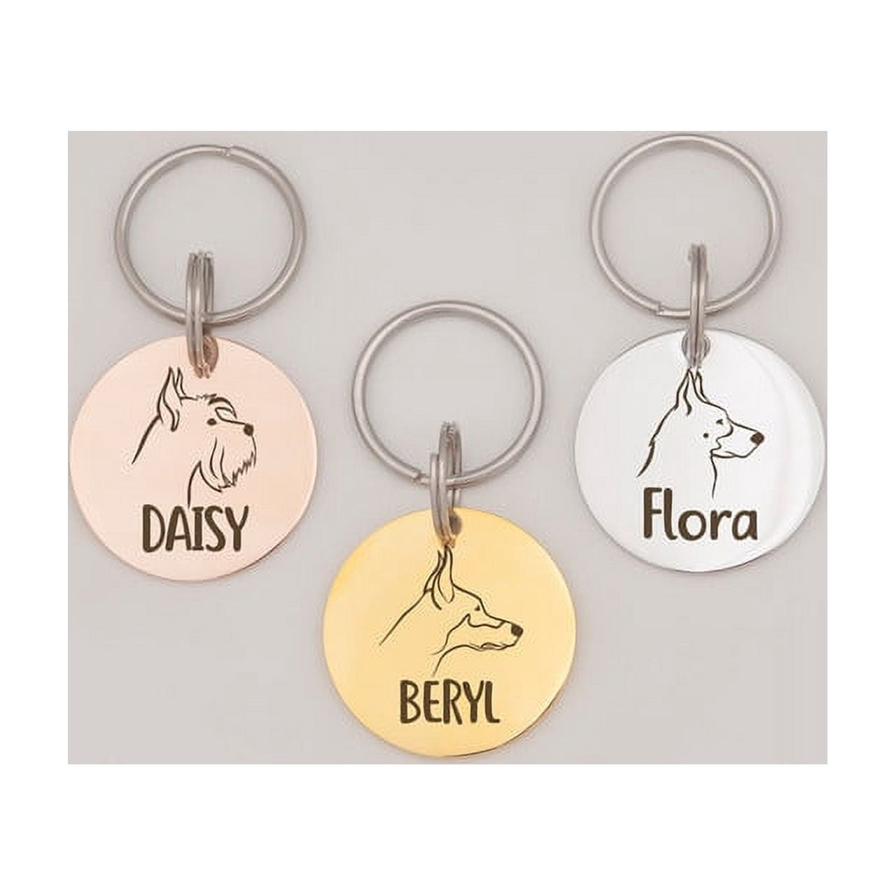 Anavia Stainless Steel Double Sided Round Name and Dog Portrait Engraved Dog & Cat ID Tag, Multi-color, L