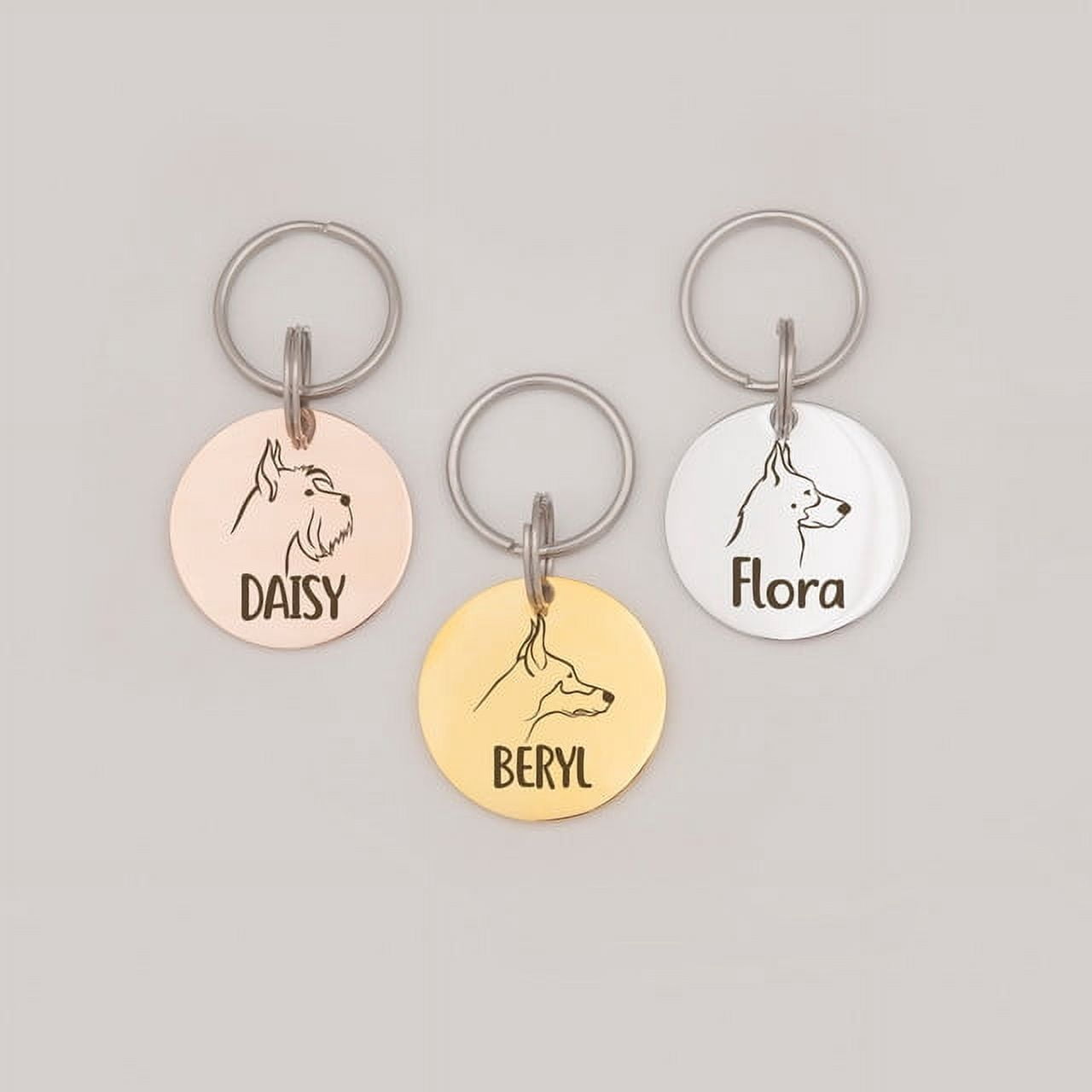 Anavia Stainless Steel Double Sided Round Name and Dog Portrait Engraved Dog & Cat ID Tag, Multi-color, M