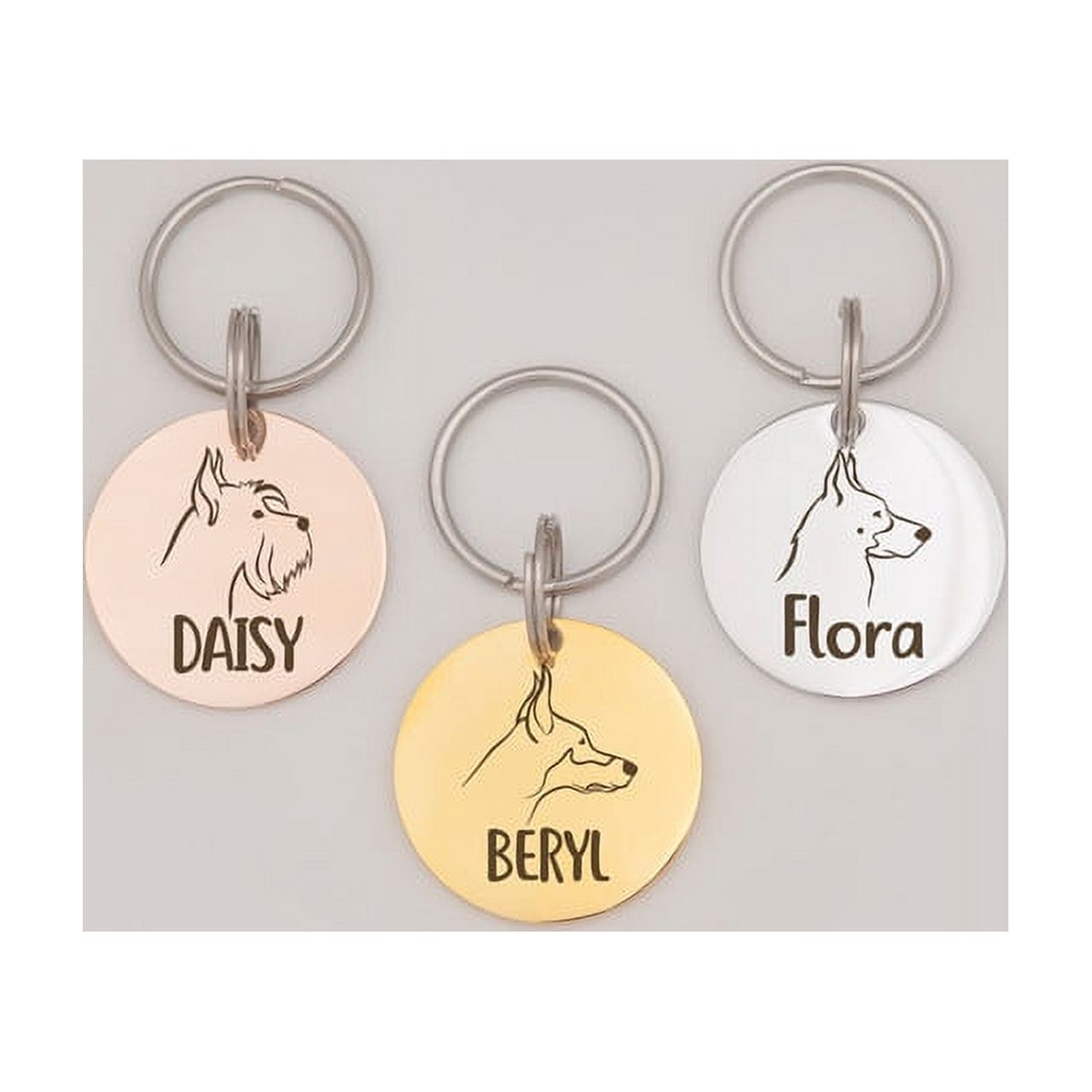 Anavia Stainless Steel Double Sided Round Name and Dog Portrait Engraved Dog & Cat ID Tag, Multi-color, S