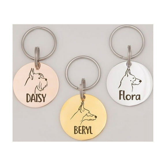 Anavia Stainless Steel Double Sided Round Name and Dog Portrait Engraved Dog & Cat ID Tag, Multi-color, S