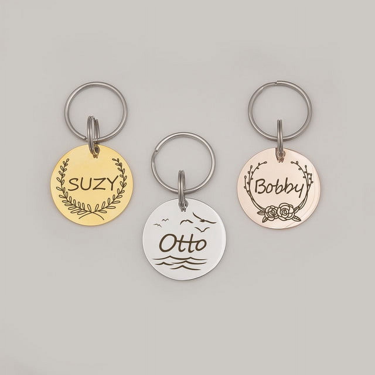 Anavia Stainless Steel Double Sided Round Name and Frame Engraved Dog & Cat ID Tag, Multi-color, L