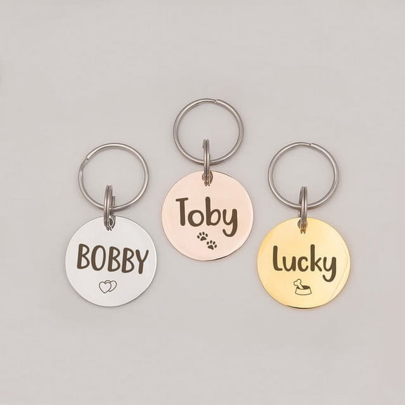Anavia Stainless Steel Double Sided Round Name and Icon Engraved Dog & Cat ID Tag, Multi-color, S