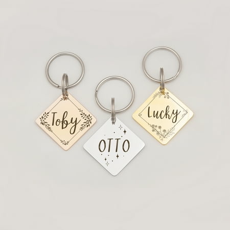 Anavia Stainless Steel Metal Diamond Name - Boarder Birthday Holiday Christmas Engraved Dog ID Tag, Silver