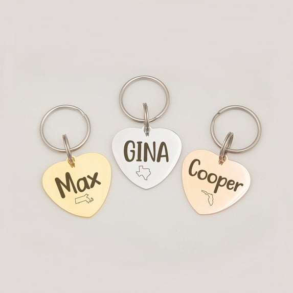 Anavia Stainless Steel Metal Heart Name - Icon Birthday Holiday Christmas Engraved Dog Cat ID Tag, Gold