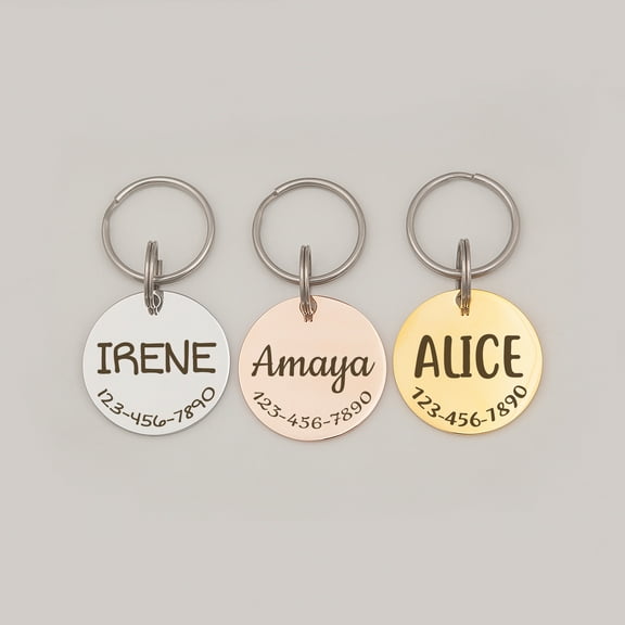 Anavia Stainless Steel Metal Round Name - Phone Number Birthday Holiday Christmas Engraved Dog Cat ID Tag, Silver