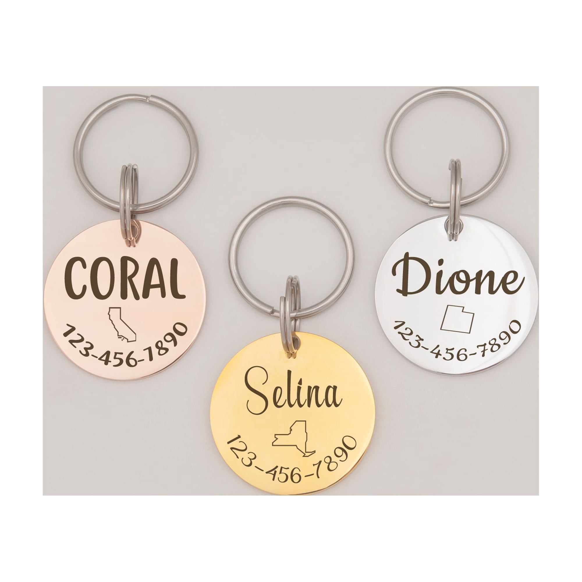 Anavia Stainless Steel Metal Round Name - State - Phone Number Birthday Holiday Christmas Engraved Dog Cat ID Tag, Gold