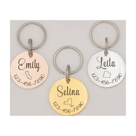 Anavia Stainless Steel Metal Round Name - State - Phone Number Birthday Holiday Christmas Engraved Dog Cat ID Tag, Silver