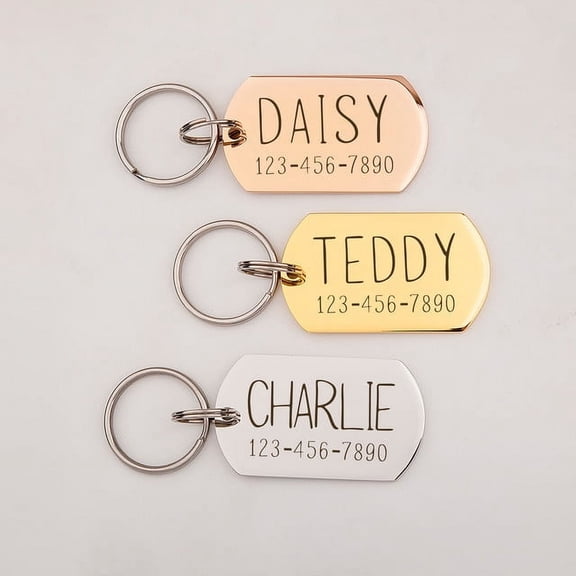 Anavia Stainless Steel Oval Name and Phone Number Engraved Dog ID Tag, Gold, L