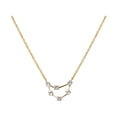 thumbnail image 1 of Anavia Zodiac Necklace Birthday Gifts for Girlfriend - Stainless Steel Zodiac Constellation Crystal Necklace - Zodiac Dainty Jewelry for Women [Gold, Capricorn], 1 of 7