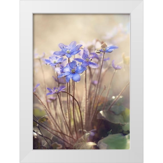 Anca, Iacob 18x24 White Modern Wood Framed Museum Art Print Titled - Spring...