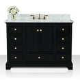 thumbnail image 1 of Ancerre Designs Audrey 48" Wood Bathroom Vanity Set in Black Onyx, 1 of 16