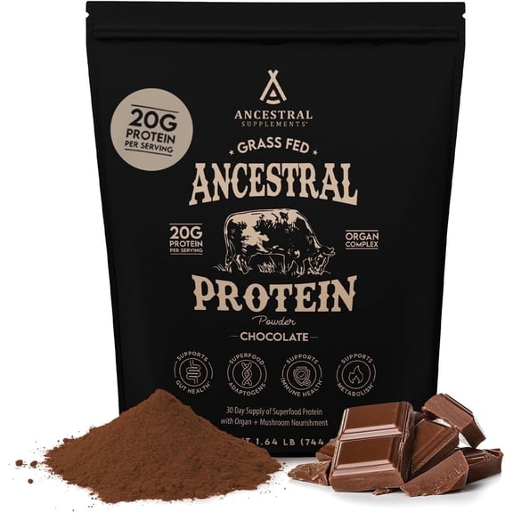 Ancestral Supplements Beef Bone Broth Protein Powder with Beef Organs & Organic Mushrooms, High Protein Supplement, Chocolate Flavor, 20g Protein Per Serving