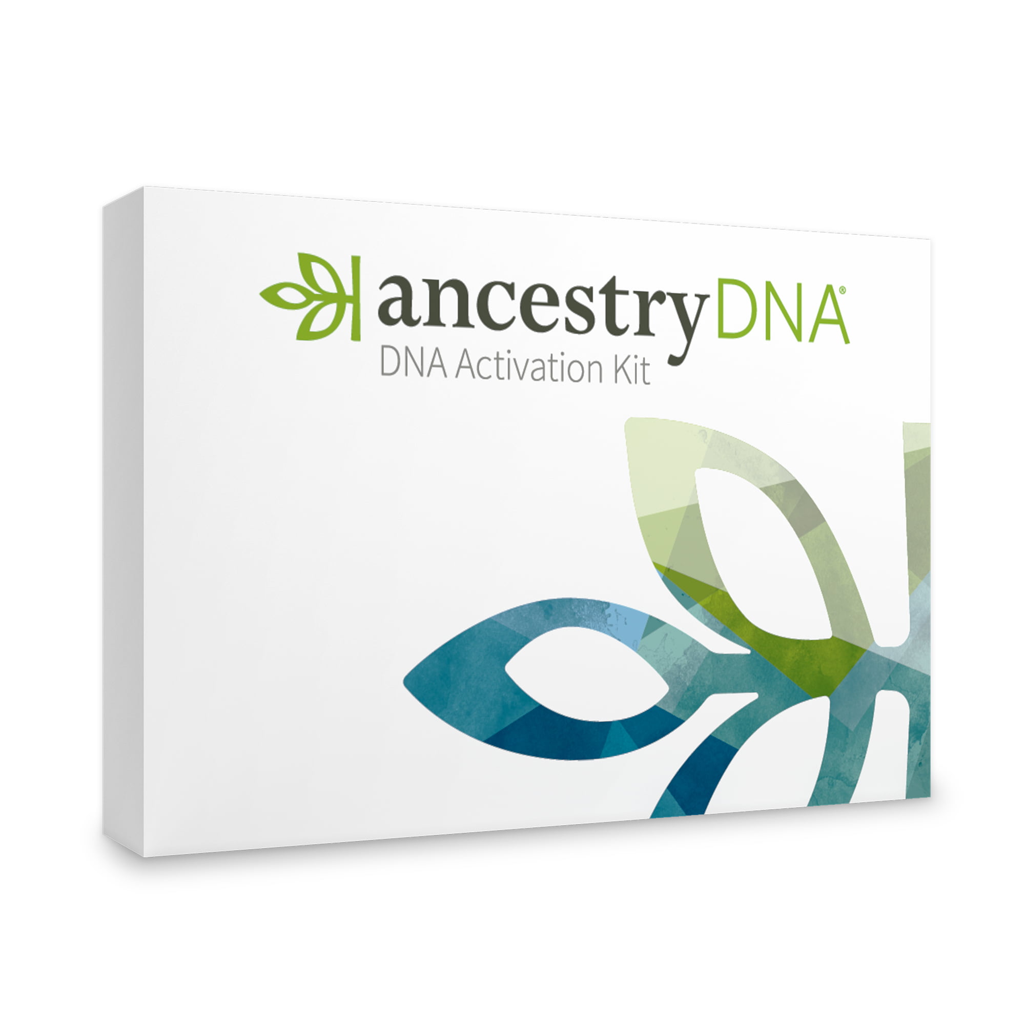 AncestryDNA Genetic Test Kit: Personalized Genetic Results, DNA Ethnicity Test, Complete DNA Test - image 1 of 9