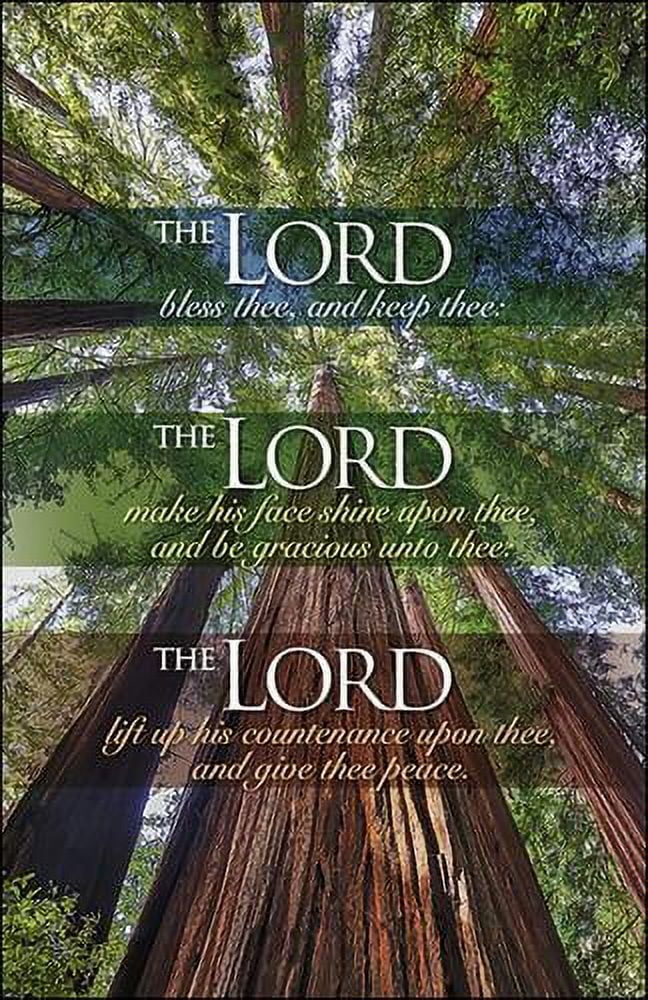 Anchor Wallace Church BulletinThe Lord Bless Thee Redwood Trees