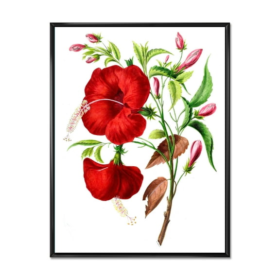 Ancient American Flora I 12 in x 20 in Framed Painting Canvas Art Print, by Designart