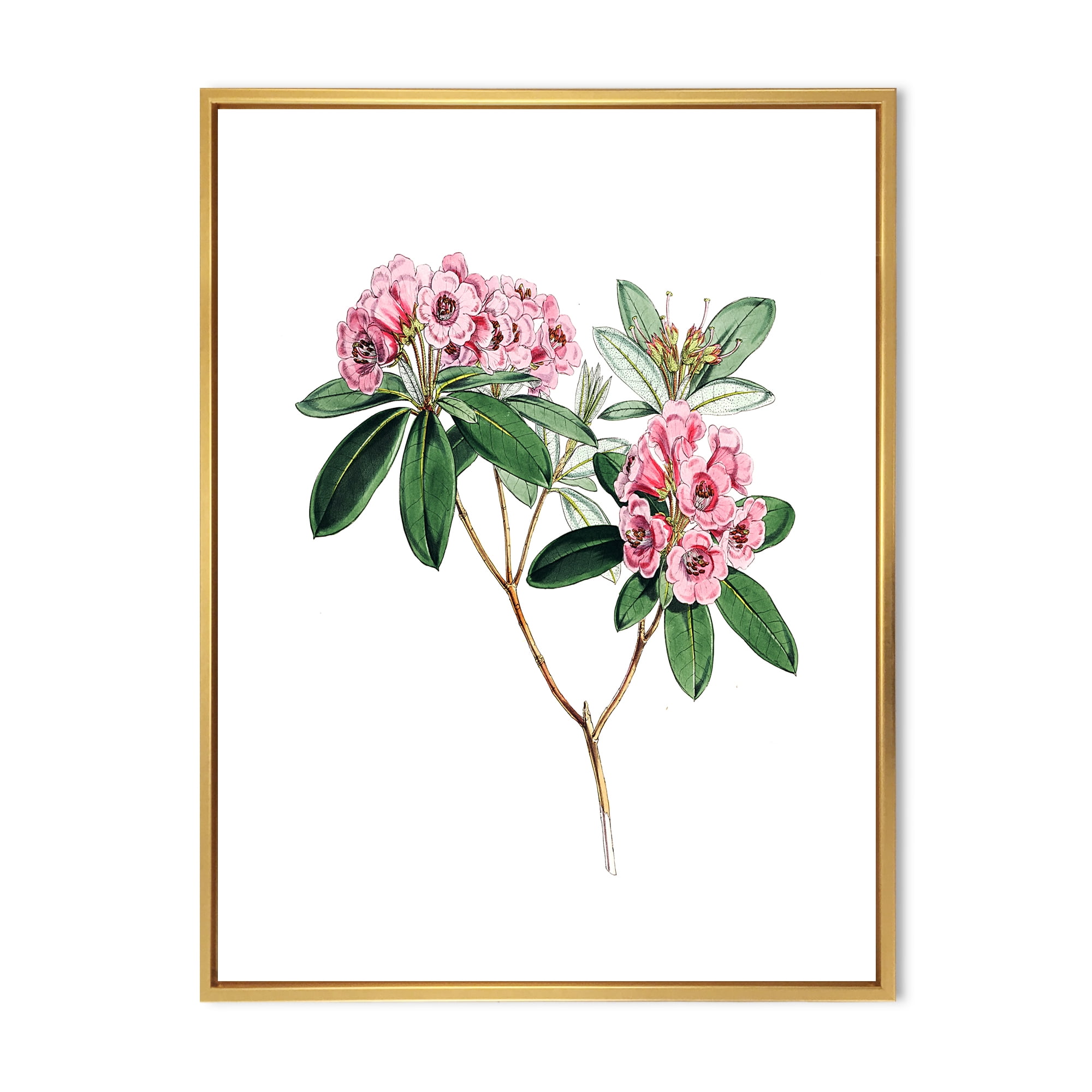 Ancient American Flora II 16 in x 32 in Framed Painting Canvas Art Print, by Designart