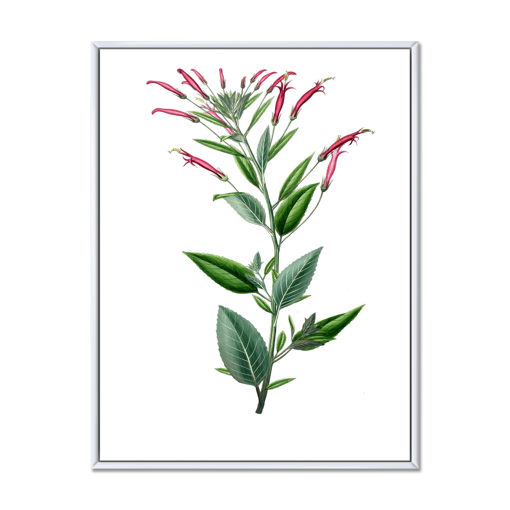 Ancient American Flora III 12 in x 20 in Framed Painting Canvas Art Print, by Designart
