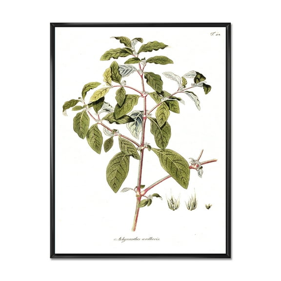 Ancient American Flora IV 12 in x 20 in Framed Painting Canvas Art Print, by Designart