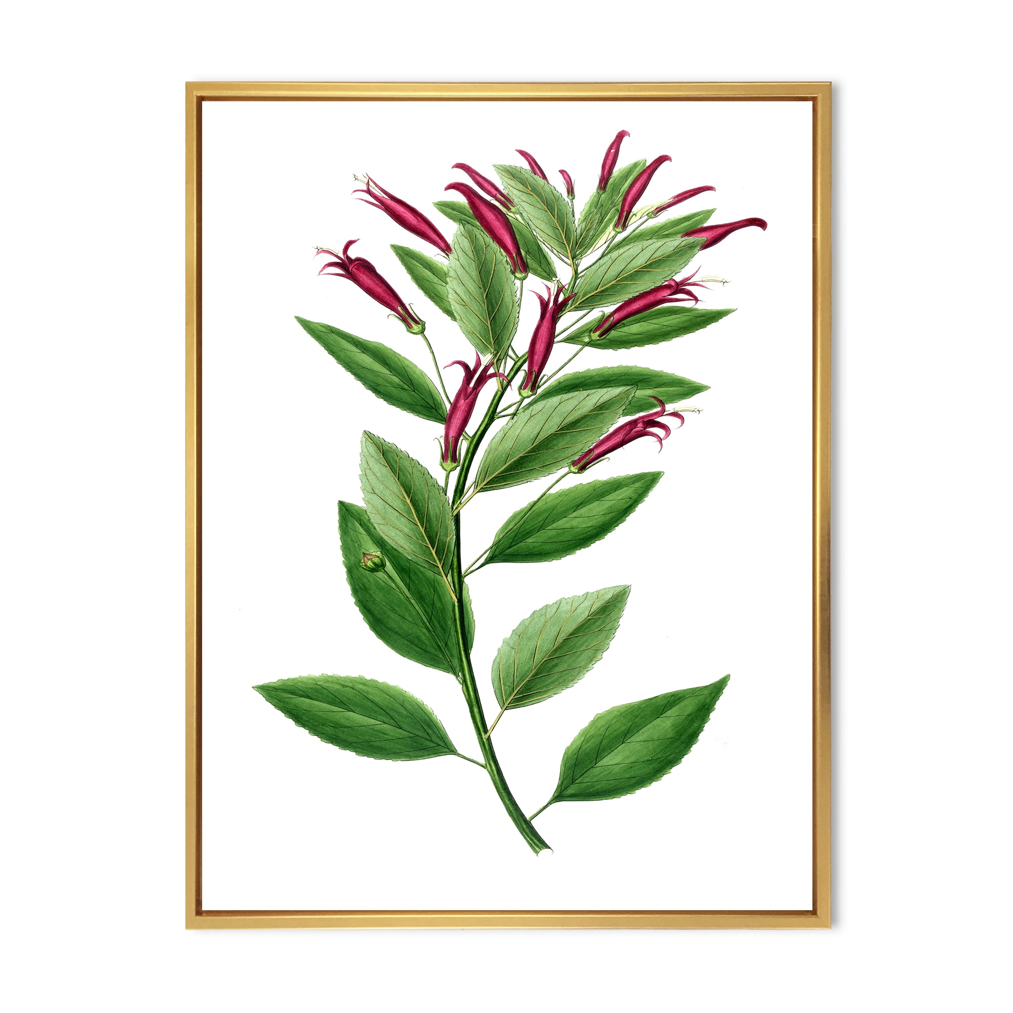 Ancient American Flora V 16 in x 32 in Framed Painting Canvas Art Print, by Designart
