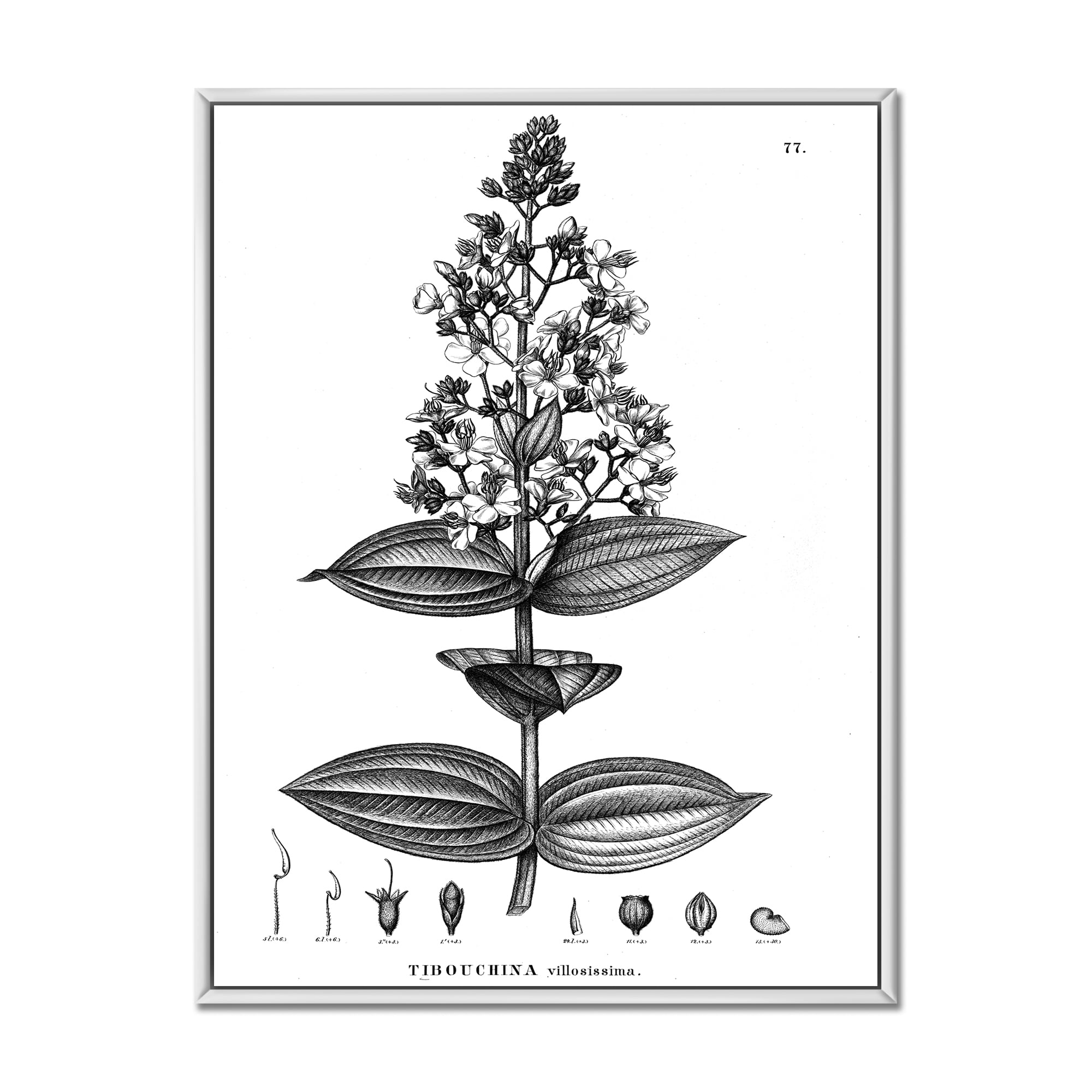 Ancient American Flora VI 12 in x 20 in Framed Painting Canvas Art Print, by Designart