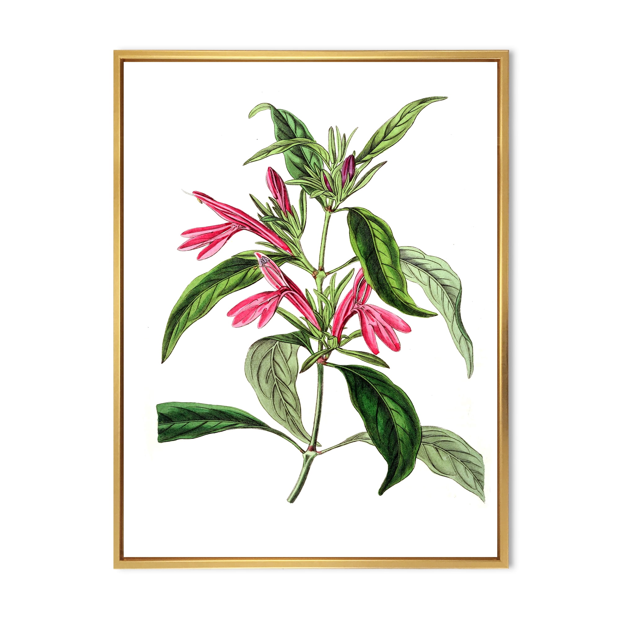 Ancient American Flora VII 12 in x 20 in Framed Painting Canvas Art Print, by Designart